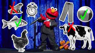 We challenged Elmo to a game of "would you rather?"